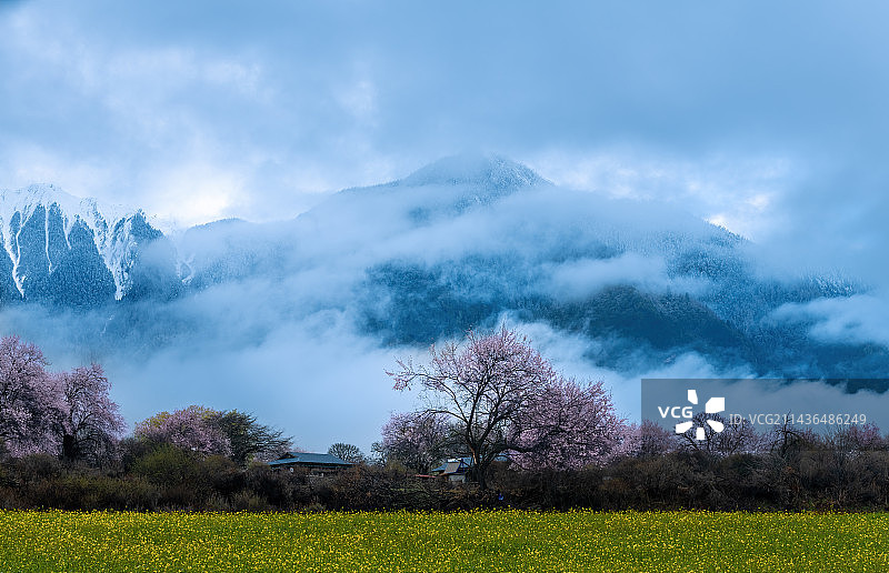 波密桃花沟图片素材