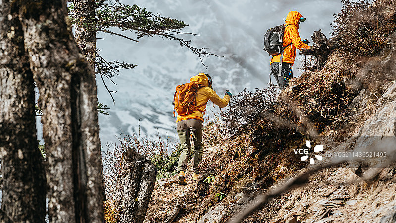亚贡山谷的原始森林图片素材