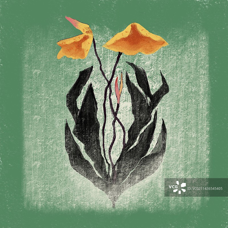 蓝色和绿色图片素材