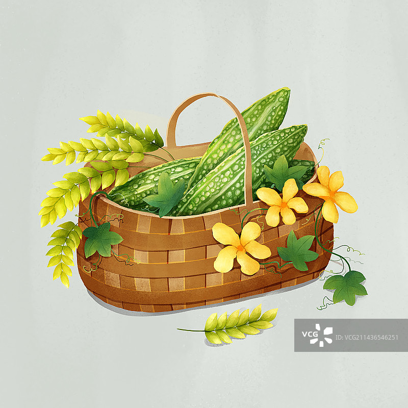 放着青绿色的小麦、苦瓜的菜篮子图片素材