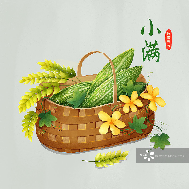 小满节气丰收青绿色的小麦、满菜篮子的苦瓜图片素材