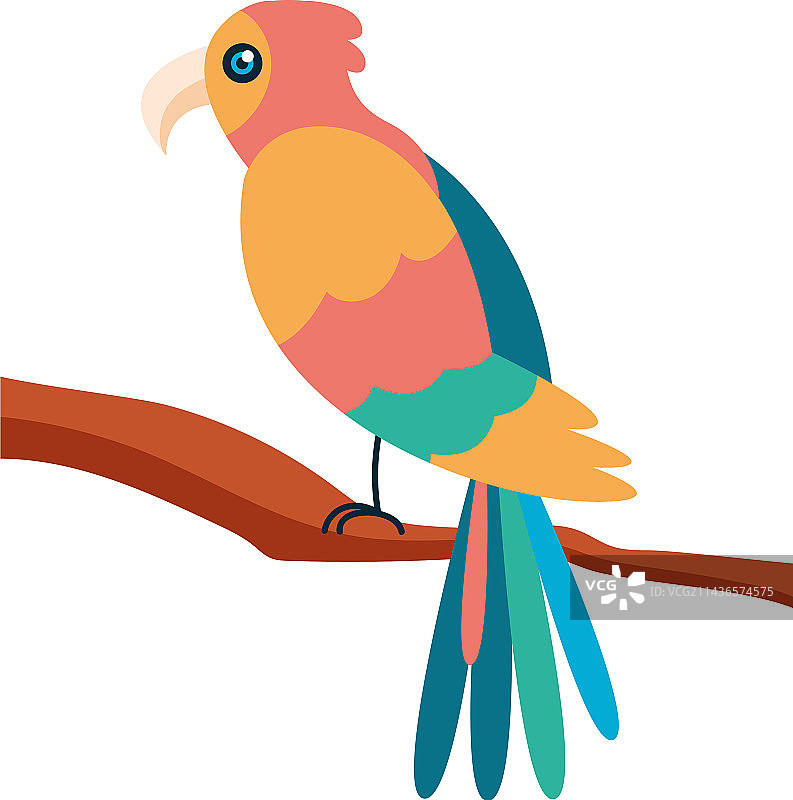 栖息在树枝上的彩色小鸟图片素材