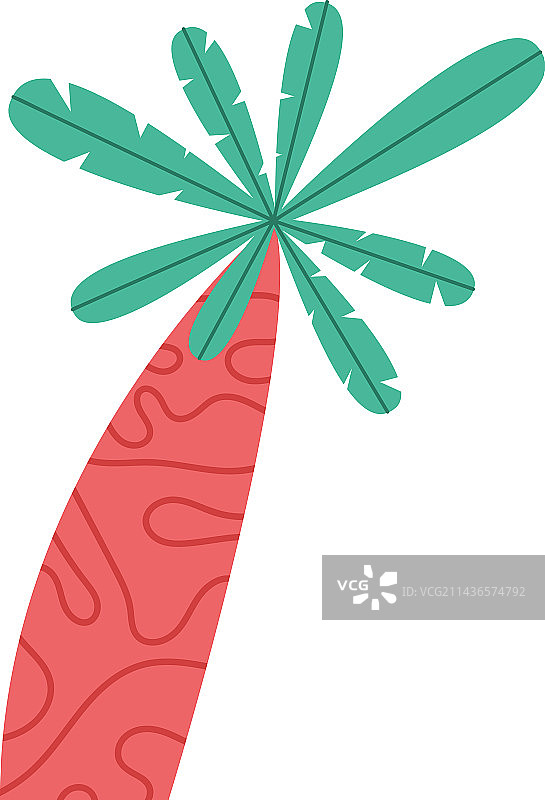 有机绿色棕榈生长图片素材