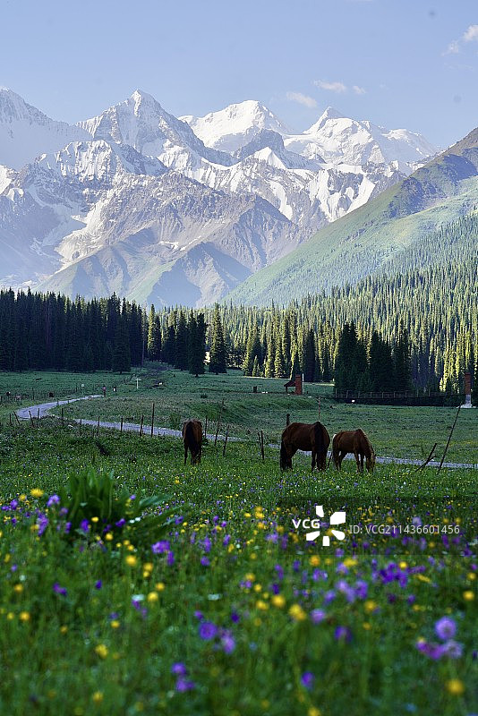夏塔古道图片素材