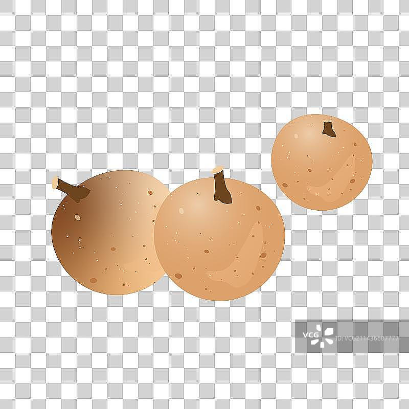 中国处暑节气亚热带水果龙眼滋补品桂圆图片素材