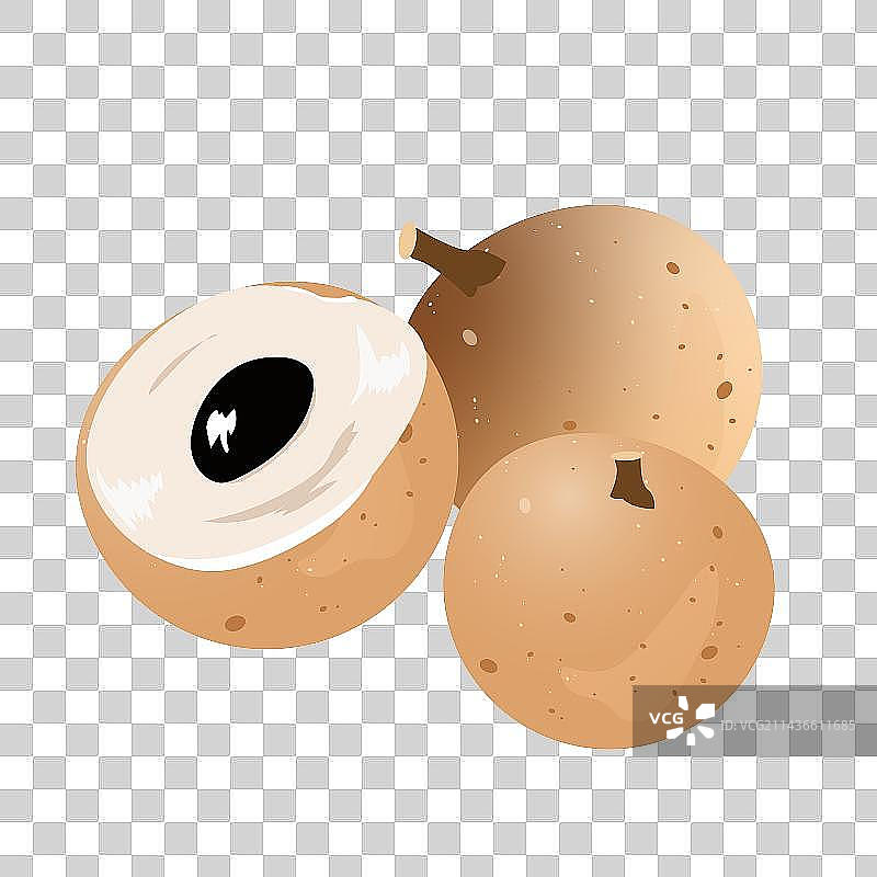 中国处暑节气亚热带水果龙眼滋补品桂圆图片素材