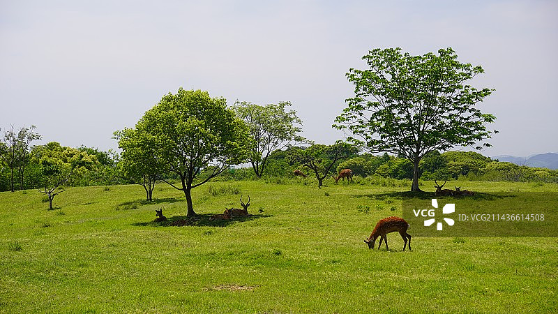 宁静的良渚图片素材