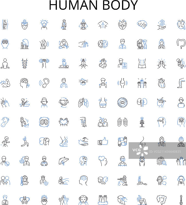 人体轮廓图标解剖图图片素材