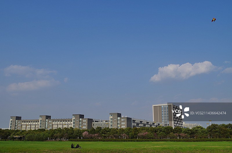 草坪上放风筝图片素材