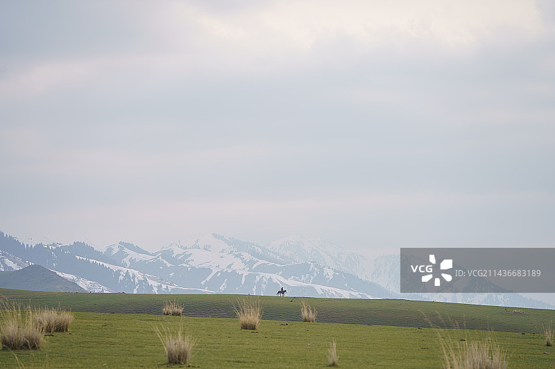 新疆伊犁乌孙山脚下春季草原风光图片素材