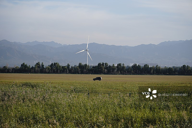 野鸭湖2图片素材