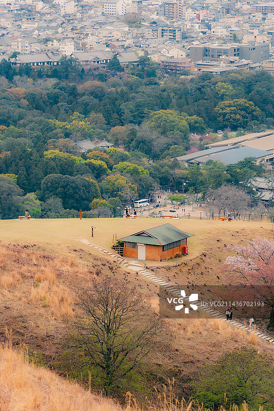 若草山图片素材