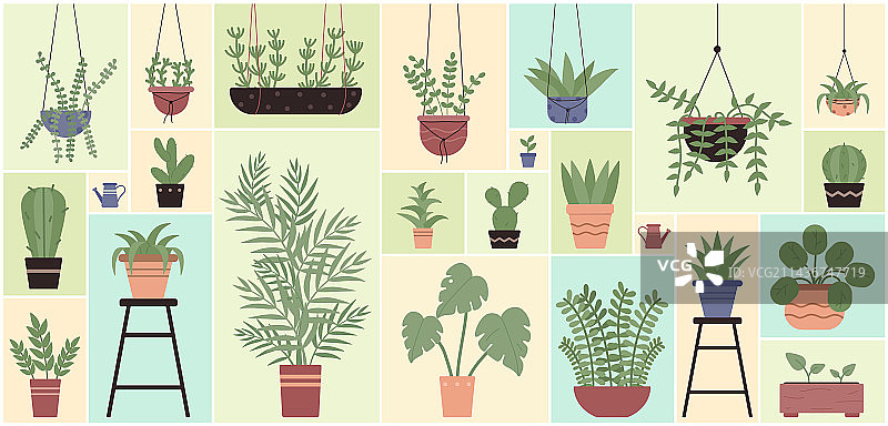 用于花卉设计的盆栽绿色植物套装图片素材