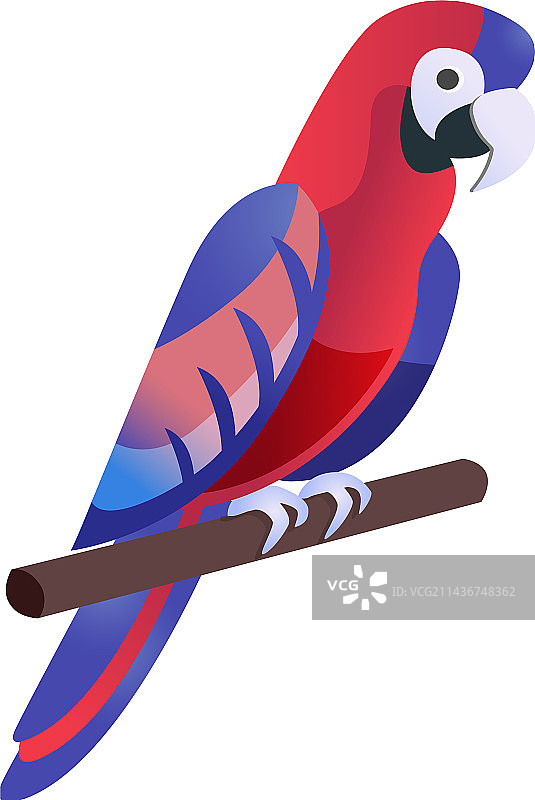 扁平风格鹦鹉图片素材