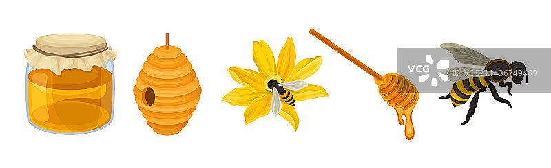 蜂蜜与罐子蜂巢蜜蜂和浸蜜器套装图片素材