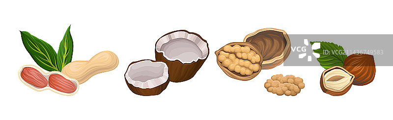 高脂肪的食用干坚果图片素材