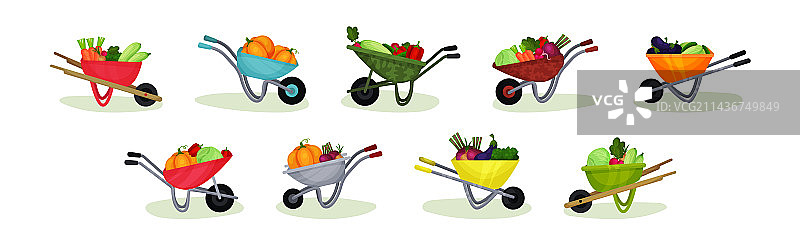 园艺手推车中的成熟蔬菜图片素材