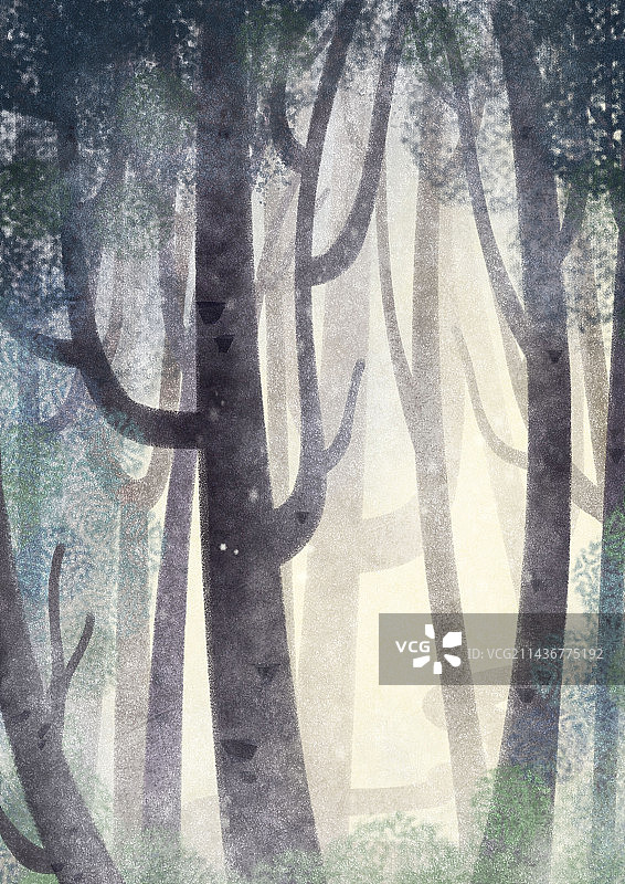 清晨森林图片素材