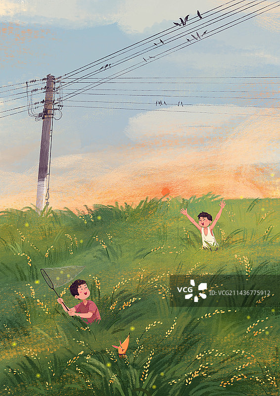 夏天的傍晚图片素材