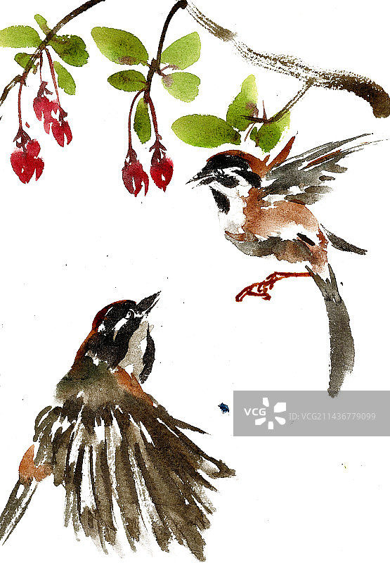 树下的麻雀图片素材