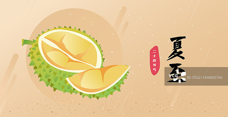 榴莲中国风诗意二十四节气夏至节气水果图片素材