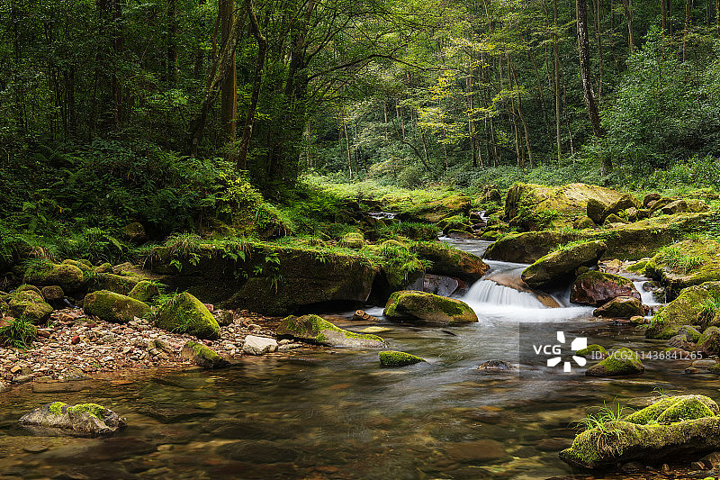 金鞭溪之秋图片素材