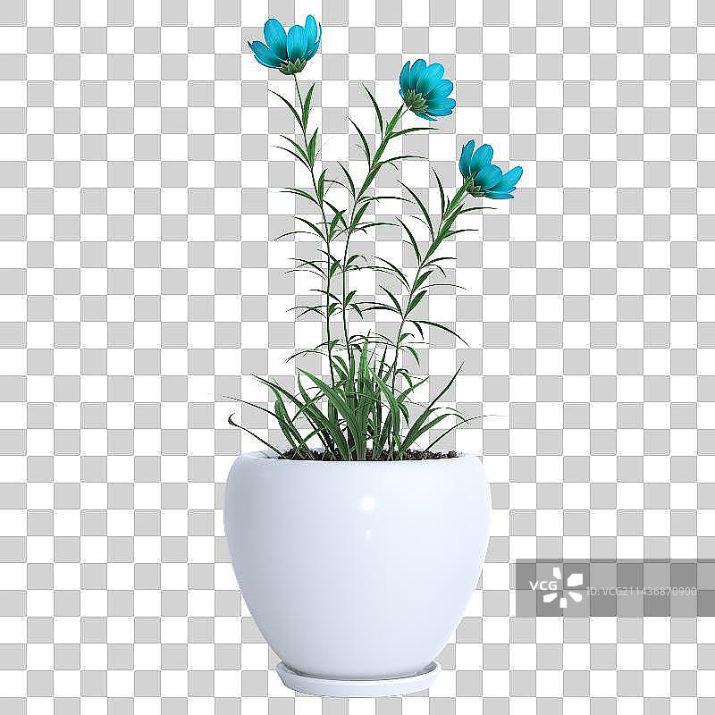 3d免扣植物特写镜头图片素材