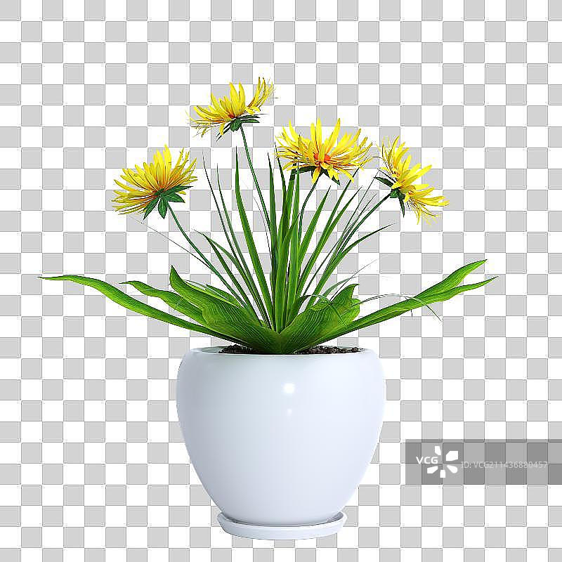 3d植物特写镜头图片素材