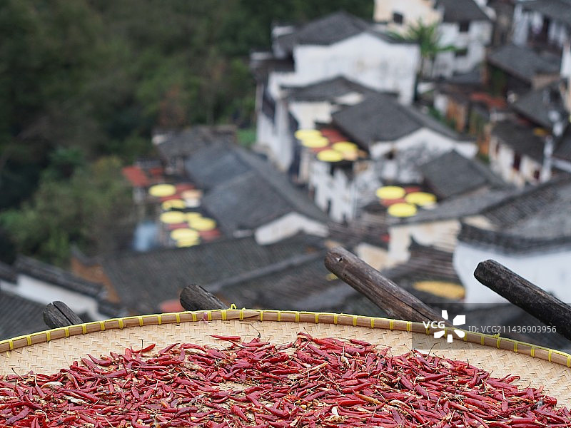 婺源晒秋南瓜辣椒玉米丰收特写图片素材