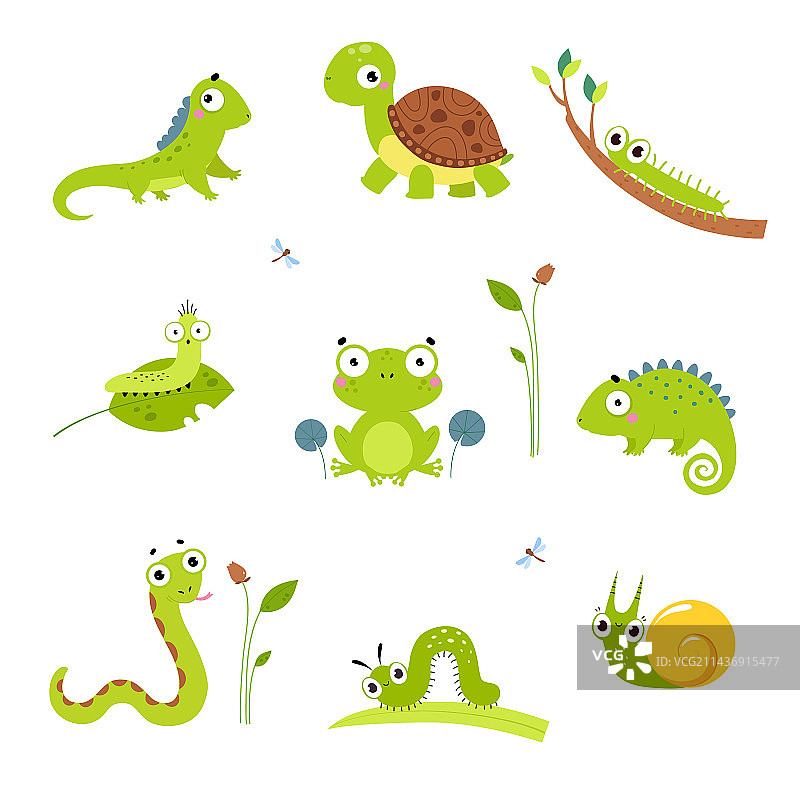 快乐的绿色动物，包括乌龟、青蛙和蛇图片素材