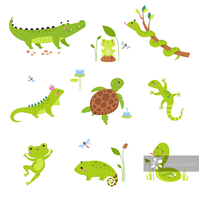 快乐的绿色动物，包括乌龟、青蛙和蛇图片素材