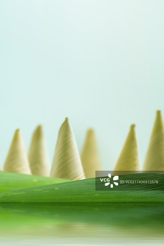 端午粽子创意场景图片素材