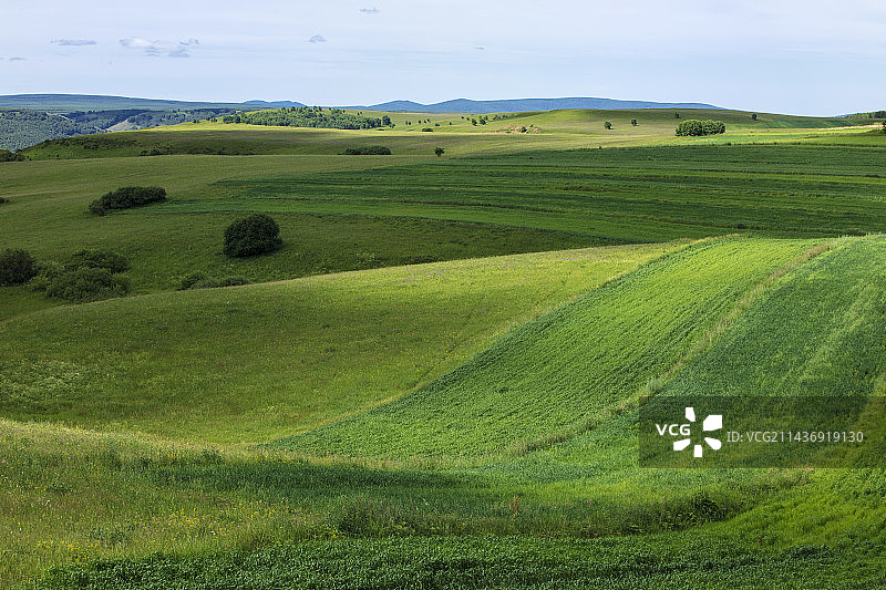夏日的山岗图片素材