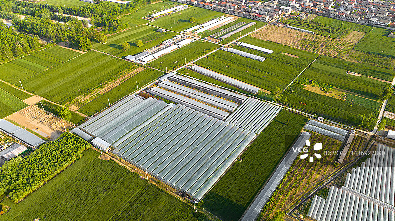 徐州吕梁风景区大片麦田大棚图片素材