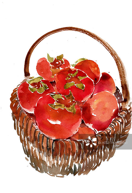 篮子里的柿子图片素材
