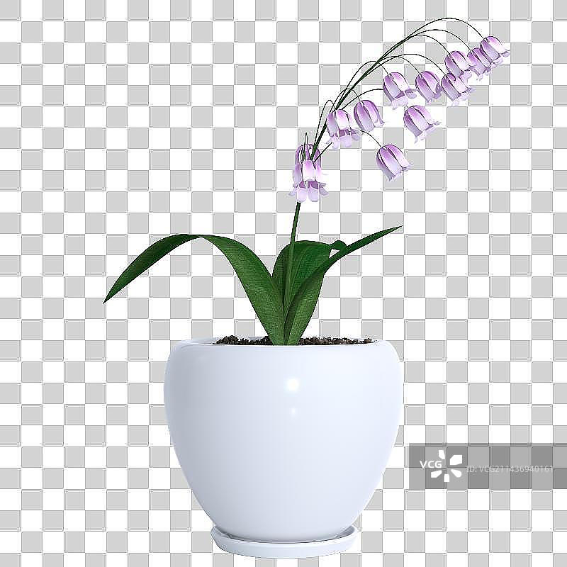 3d植物特写镜头图片素材