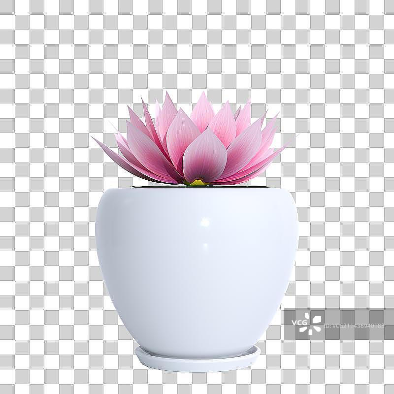 3d植物特写镜头图片素材