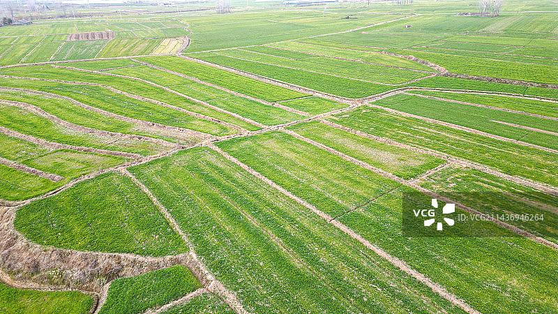 航拍冬季乡村麦田风光图片素材
