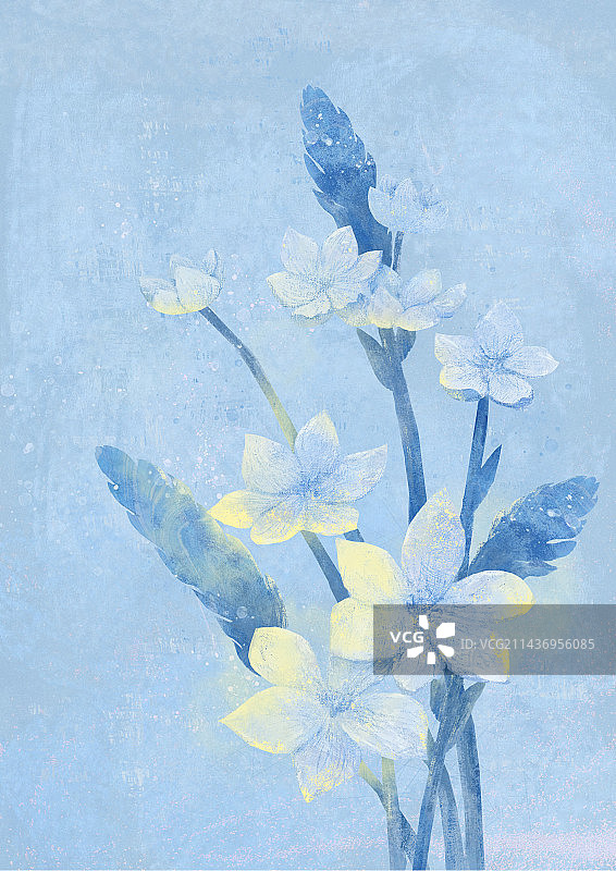 清新植物插画图片素材