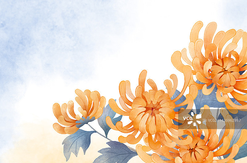 水彩菊花图片素材