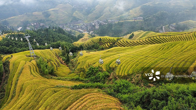 广西龙脊梯田云雾缭绕图片素材
