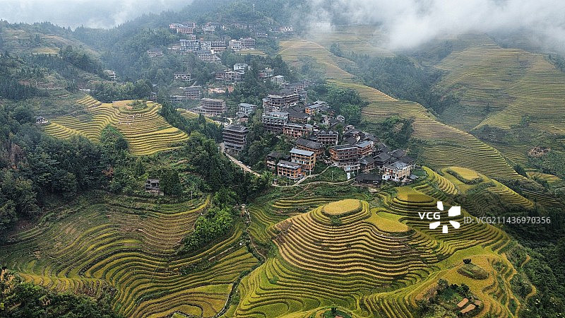 广西龙脊梯田云雾缭绕图片素材