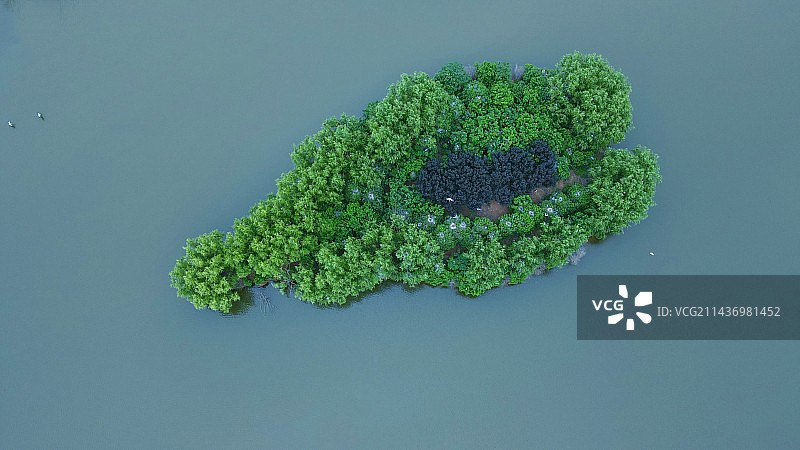 航拍视角下的小岛图片素材