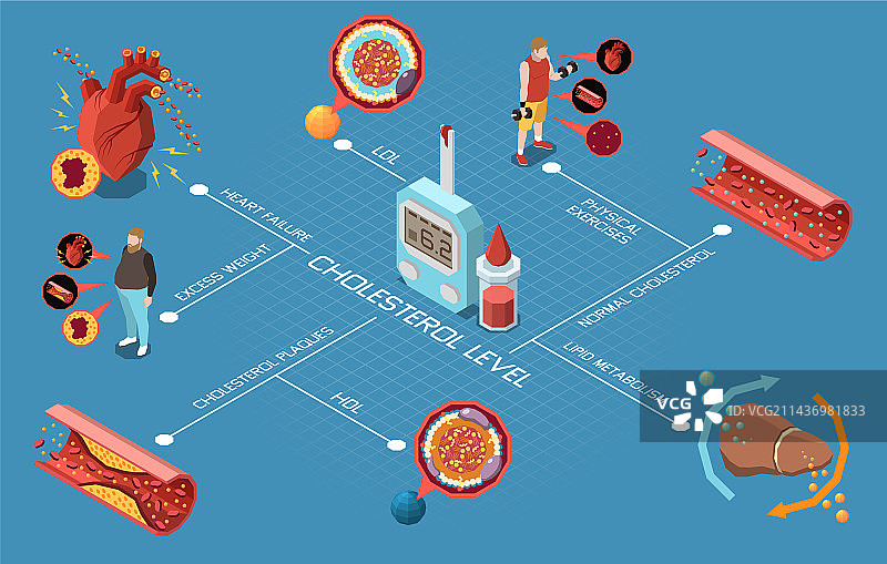 胆固醇水平流程图图片素材