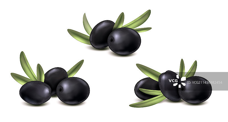 真实的黑色橄榄套装图片素材