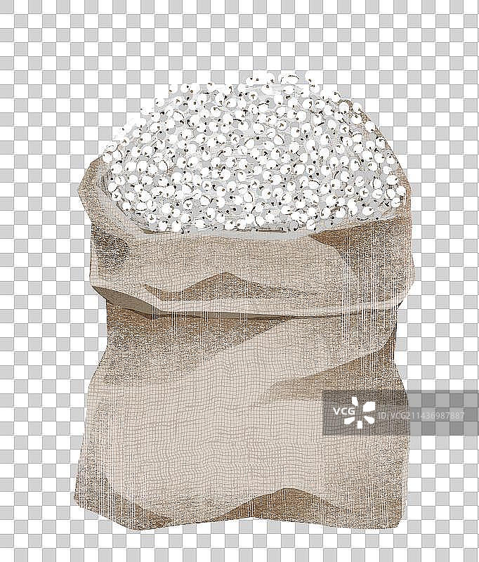 高粱或者薏米插画元素图片素材