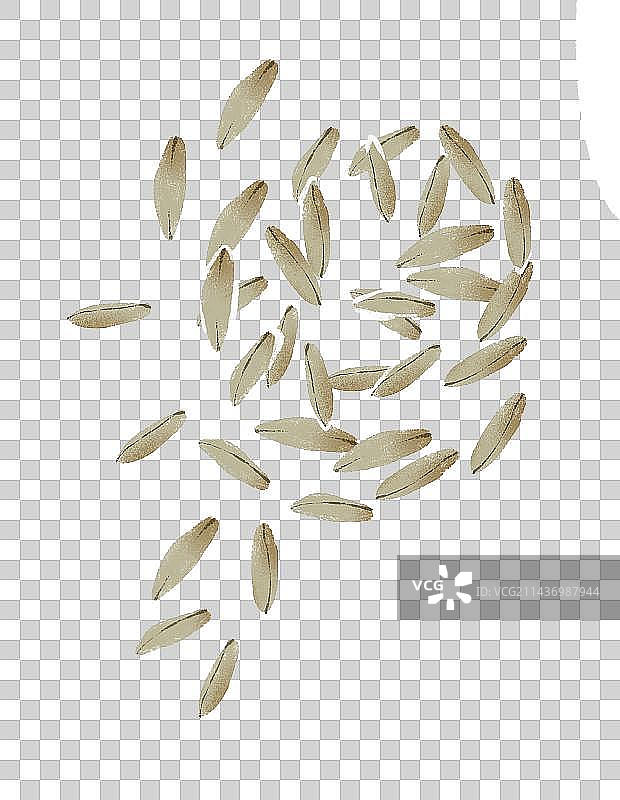 青稞插画元素图片素材