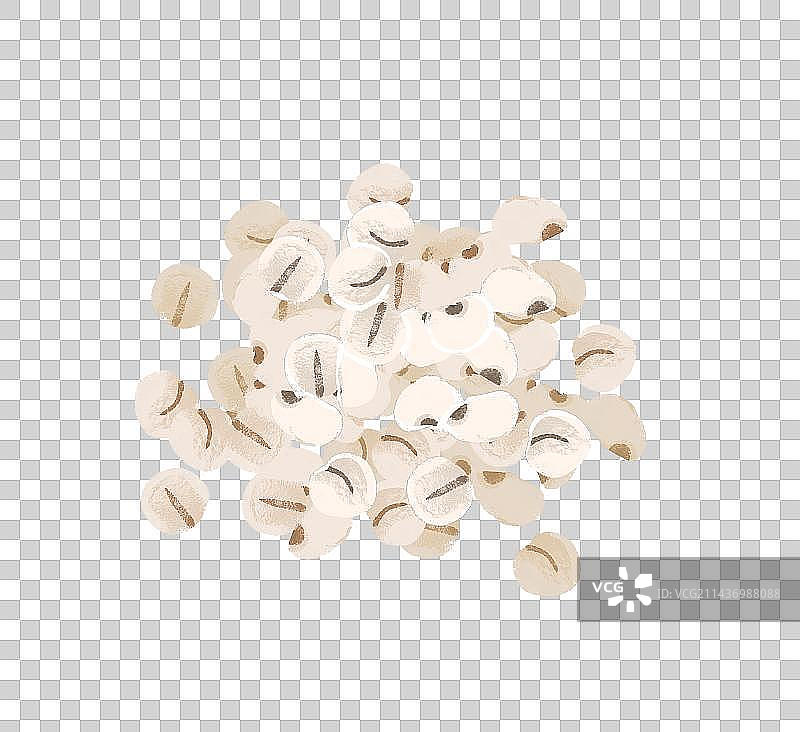 薏米插画元素图片素材