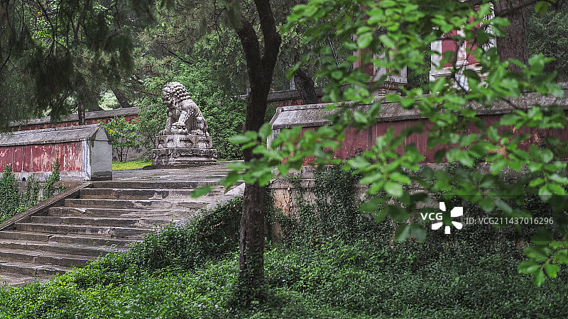 北京 香山碧云寺 石狮子图片素材