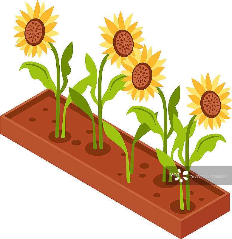 2.5D花坛等距图标图片素材